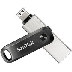 Флэш-накопитель Sandisk iXpand Go 256 ГБ, USB 3.0, USB-A, Lightning цена и информация | USB накопители | 220.lv