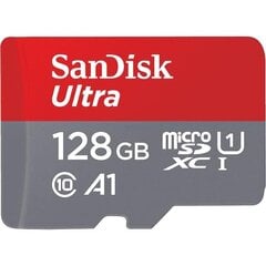 SanDisk Micro SDXC, 128GB (SDSQUNR-128G-GN6MN) цена и информация | Карты памяти для мобильных телефонов | 220.lv