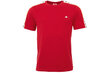 Vīriešu sporta T-krekls Kappa Hanno T-Shirt 308011-19-1863, sarkans цена и информация | Sporta apģērbs vīriešiem | 220.lv