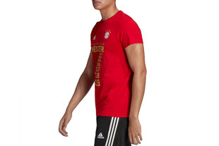 Мужская футболка Adidas FC Bayern Meister Tee цена и информация | Мужская спортивная одежда | 220.lv