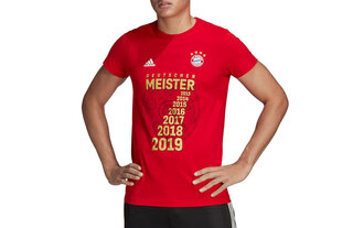 Мужская футболка Adidas FC Bayern Meister Tee цена и информация | Мужская спортивная одежда | 220.lv