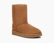 UGG sieviešu zābaki Classic Short II 1016223, brūni cena un informācija | Sieviešu zābaki, puszābaki | 220.lv