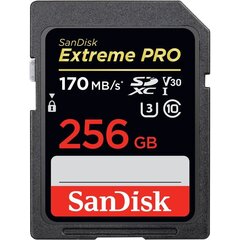 SanDisk Extreme Pro Micro SDXC, 256GB cena un informācija | Atmiņas kartes fotokamerām | 220.lv