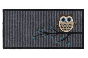 Durvju paklājs Vision Owl 40x80 cm cena un informācija | Kājslauķi | 220.lv