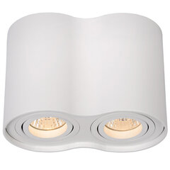 Lampa Tube cena un informācija | Iebūvējamās lampas, LED paneļi | 220.lv