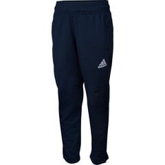 Спортивные штаны для мальчиков Adidas Tiro 17 Junior, синие цена и информация | Штаны для мальчика ABN-2894/CZA/098 | 220.lv