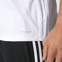 Vīriešu T-krekls Adidas Tiro 17, balts cena un informācija | Sporta apģērbs vīriešiem | 220.lv