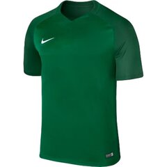 Vīriešu sporta T-krekls Nike Dry Trophy III M 881483-302, 43639 цена и информация | Мужская спортивная одежда | 220.lv