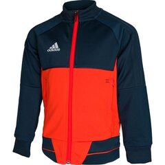 Джемпер для мальчиков Adidas Tiro 17 Junior, синий цена и информация | Свитеры, жилетки, пиджаки для мальчиков | 220.lv