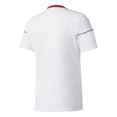 T-krekls zēniem Adidas Squadra 17 Junior, balts cena un informācija | Zēnu krekli | 220.lv