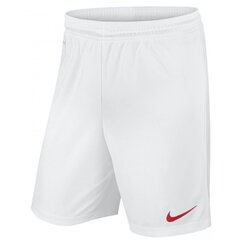 Спортивные шорты для мужчин Nike Park II цена и информация | Мужская спортивная одежда | 220.lv