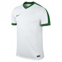 Мужская спортивная футболка Nike Striker IV M 725892 102 цена и информация | Мужская спортивная одежда | 220.lv
