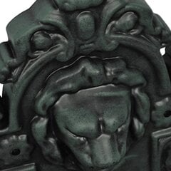 Настенный фонтан vidaXL, дизайн с головой льва цена и информация | Декоры для сада | 220.lv