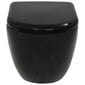 Piestiprināms keramikas tualetes pods, melns cena un informācija | Tualetes podi | 220.lv