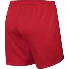 Спортивные шорты для женщин Nike Park Knit Short NB W 833053-657, красные цена и информация | Спортивная одежда для женщин | 220.lv