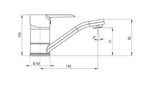 Смеситель Deante с подвижным изливом Corio, хром цена и информация | Смесители | 220.lv