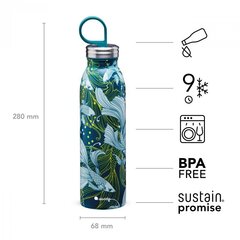 Бутылка-термос Aladdin X Naito Chilled Thermavac Goldfish Green, 0.55 л цена и информация | Фляги для воды | 220.lv