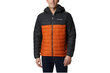 Jaka vīriešiem Columbia Powder Lite Hooded Jacket 1693931820, oranža цена и информация | Vīriešu virsjakas | 220.lv