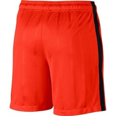 Спортивные шорты для мальчиков Nike Dry Squad Jacquard Junior 870121- 852 цена и информация | Zēnu šorti | 220.lv