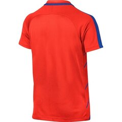Спортивная футболка для мальчиков Nike Dry Squad Junior 833008- 852 (43578) цена и информация | Рубашки для мальчиков | 220.lv