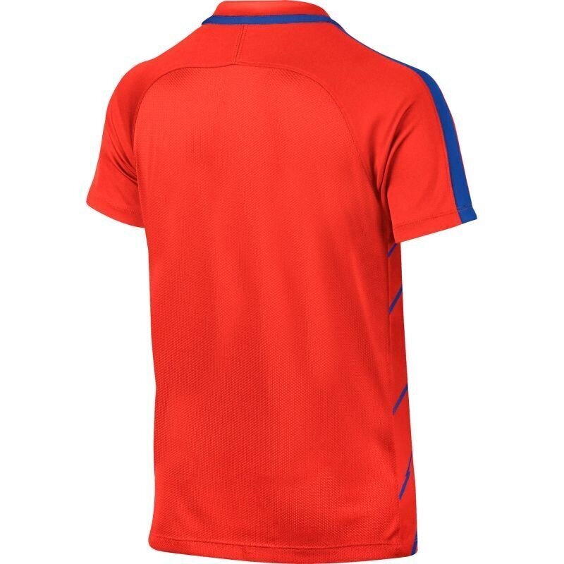 Sporta T-krekls zēniem Nike Dry Squad Junior 833008- 852 (43578) цена и информация | Zēnu krekli | 220.lv