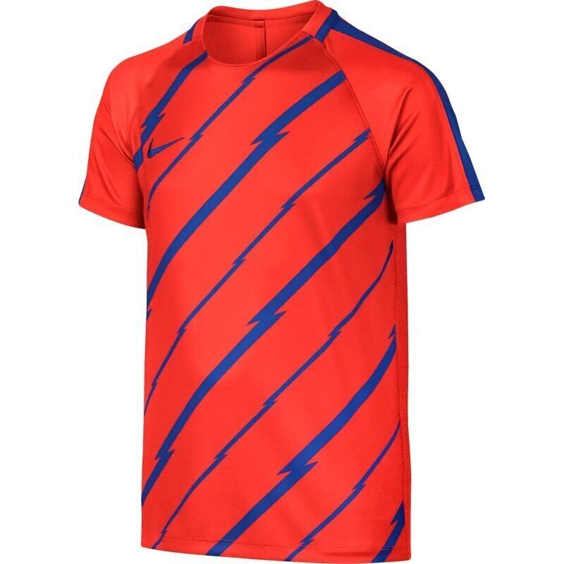 Sporta T-krekls zēniem Nike Dry Squad Junior 833008- 852 (43578) цена и информация | Zēnu krekli | 220.lv