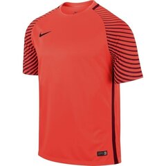 Vīriešu sporta T-krekls Nike Gardien M 725889-671 (43713) cena un informācija | Sporta apģērbs vīriešiem | 220.lv