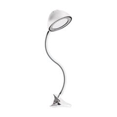 Roni led balta clip smd led galda lampa STRÜHM 600 x 120 x 110 mm цена и информация | Настольные лампы | 220.lv