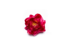 Dāvana Glicerīna ziepes Rožu gūžas, 3Dsoap 120 g cena un informācija | Citas oriģinālas dāvanas | 220.lv