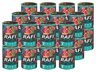 Rafi Dog Junior ar jēru, 400 g cena un informācija | Konservi suņiem | 220.lv