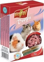 Дополнительный корм для кроликов и хомяков с фруктами Vitapol, 350г цена и информация | Корм для грызунов | 220.lv