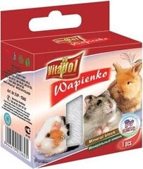 Vitapol минеральный камень для грызунов и кроликов с попкорном 40г цена и информация | Корм для грызунов | 220.lv