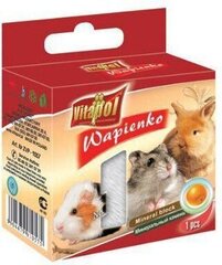 Vitapol минеральный камень для грызунов и кроликов с яблоками 40г цена и информация | Корм для грызунов | 220.lv