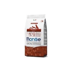 Monge Spec.. Сухой корм Line с бараниной, рисом и картофелем для взрослых собак всех пород 2,5 кг цена и информация | Сухой корм для собак | 220.lv