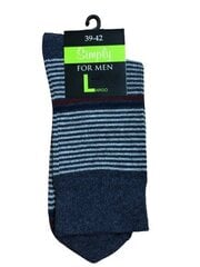 Мужские носки в полоску (Синие) цена и информация | Мужские носки | 220.lv