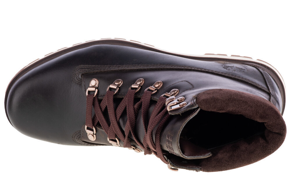 Pārgājienu apavi vīriešiem Timberland Radford 6 Inch A2BZ2, brūni cena un informācija | Vīriešu kurpes, zābaki | 220.lv