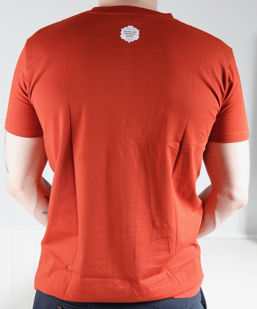 Vīriešu T-krekls MINU ARM (mana mīlestība), brūns цена и информация | Vīriešu T-krekli | 220.lv