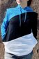 Kokvilnas sporta džemperis ar kapuci EESTI, Igaunijas karoga krāsās cena un informācija | Vīriešu džemperi | 220.lv