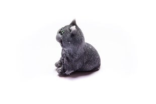 Glicerīna ziepes Češīras kaķis, Dāvana, 3Dsoap 100 g, cena un informācija | Ziepes | 220.lv