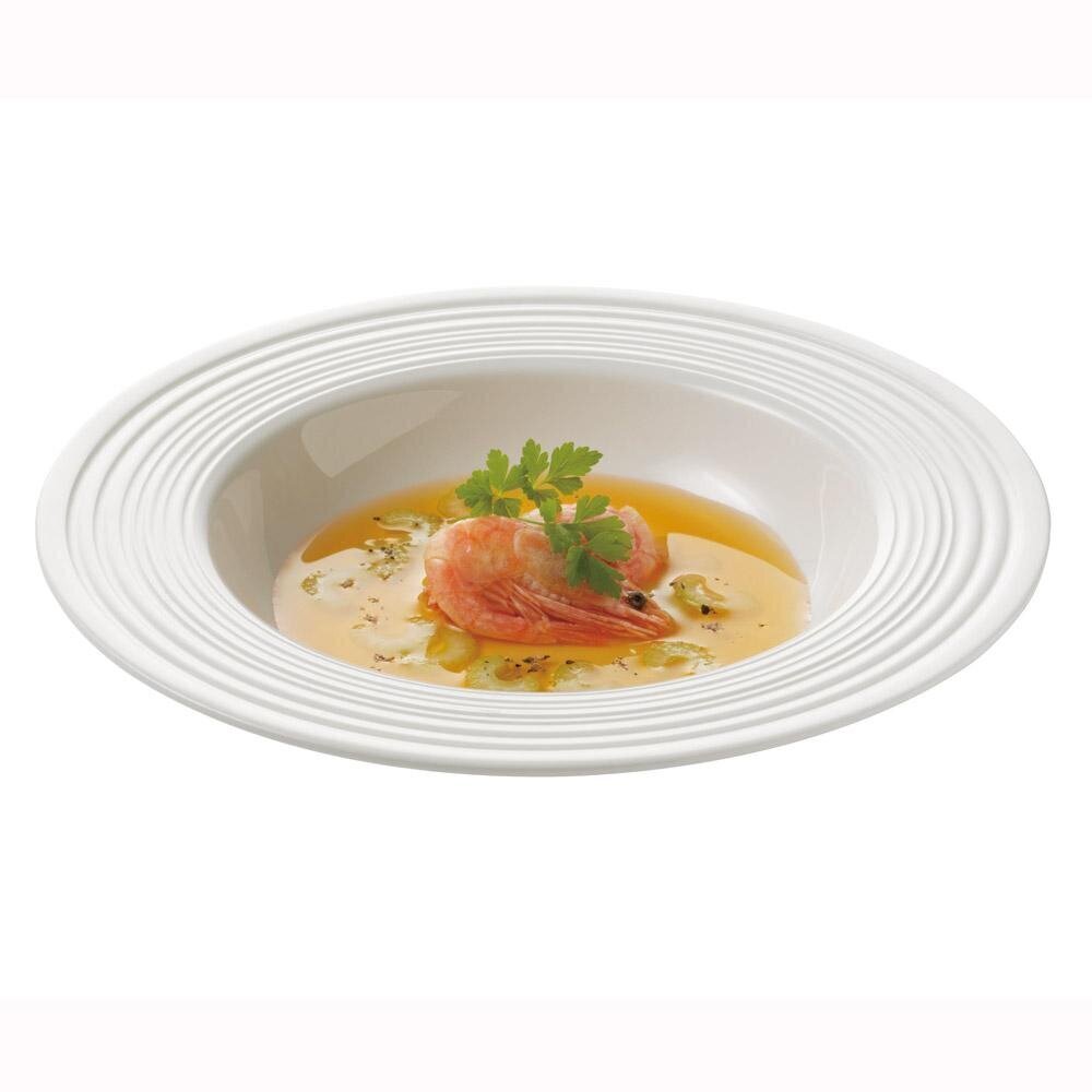 Zupas šķīvis, 23 cm, 4 gab, passion cena un informācija | Trauki, šķīvji, pusdienu servīzes | 220.lv