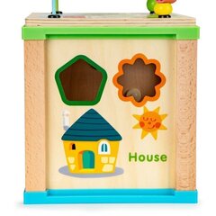 Деревянный развивающий куб - сортировщик Ecotoys HM015470 цена и информация | Игрушки для малышей | 220.lv