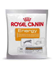Royal Canin uzkodas pieaugušajiem aktīviem suņiem Energy, 50 g cena un informācija | Gardumi suņiem | 220.lv