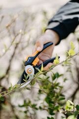 Секатор плоскостной Fiskars Solid М P321 цена и информация | Ветки | 220.lv