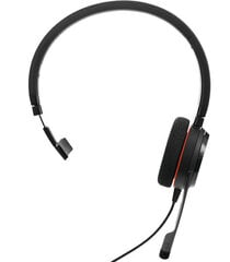 Jabra Evolve 20 MS цена и информация | Наушники | 220.lv