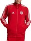 Džemperis vīriešiem Adidas Bayern Monachium, sarkans cena un informācija | Vīriešu jakas | 220.lv