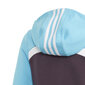 Adidas Sporta tērps G Hood Cot Ts1 Purple Blue цена и информация | Komplekti meitenēm | 220.lv