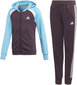 Adidas Sporta tērps G Hood Cot Ts1 Purple Blue cena un informācija | Komplekti meitenēm | 220.lv