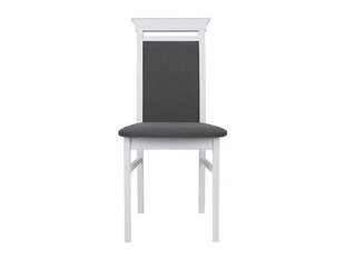Набор из 2 стульев BRW Idento Nkrs 2, серый цена и информация | Стулья для кухни и столовой | 220.lv