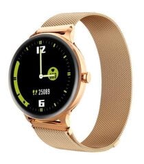 Blackview X2 Gold cena un informācija | Viedpulksteņi (smartwatch) | 220.lv