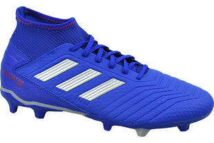 Футбольная обувь для мужчин Adidas Predator 19.3 FG BB8112, синяя цена и информация | Футбольные ботинки | 220.lv